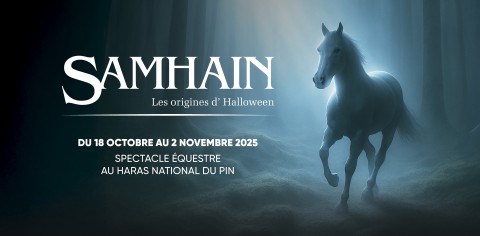 251001-Maquette-siteweb-1140x560px | Haras du Pin