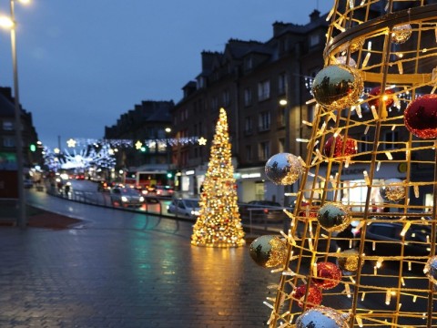 vitrine de FlersA2575-scaled(1)(1) | Alexandra 