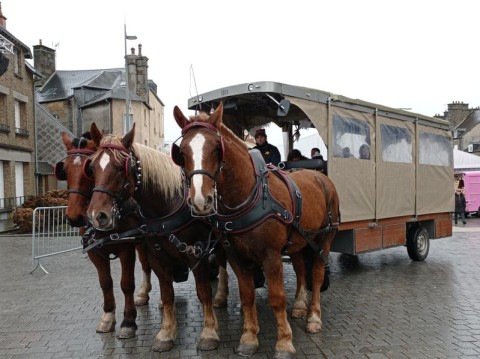 calèche(1) | @Flers-Agglo