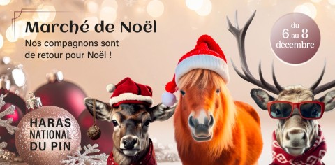 visuel-marche-noel-siteweb_673e01aed9bc0 | Haras du Pin