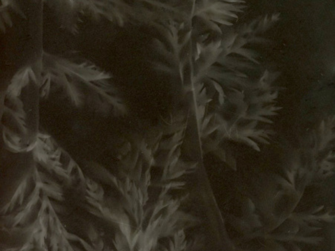 Dans l'imaginaire du grand Hazé (800 x 600 px) - expo Dornier | Mélanie Dornier