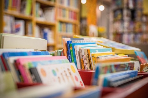 bourse aux livre  | médiathèque