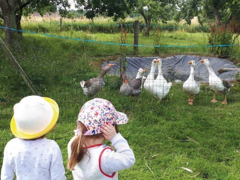 Ateliers ferme d'apolline | ©Fermed'Apolline