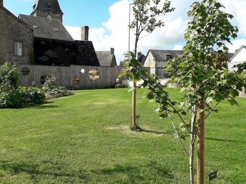 20200905-113454-3 | médiathèque