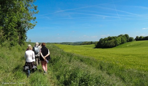 Appenay sous Belleme Chemins alentours 00001 | © Didier Orsal - 2014
