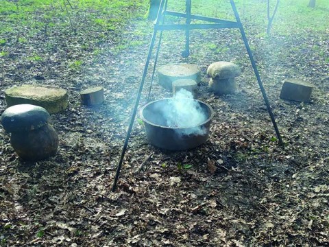 TFTF Apolline | ©Ferme d'Apolline