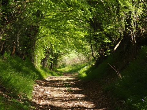 randonnee-800 | ©CDCPerchenormand