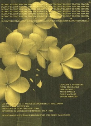 bains douches  | les bains douches 