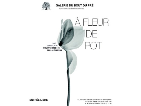 expoafleurdepot-bretoncelles-800 | ©Philippe Hirsch