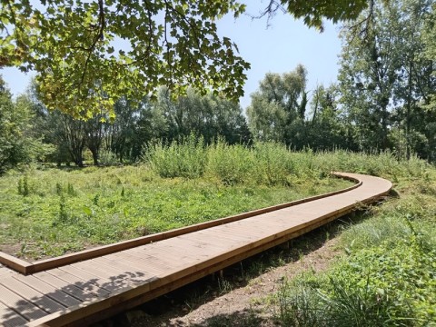 IMG_20250812_132144 - Copie | OT Sées