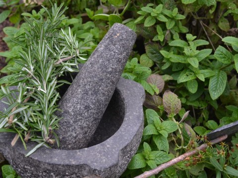 ecomusee_herboristerie_800 | ©ecomuseeduperche