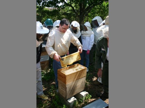 ecomusee_apiculture8_800 | ©ecomuseeduperche