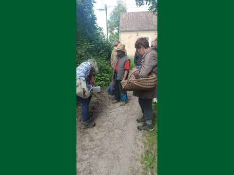 ecomusee_anim-herboristerie_800 | ecomuseeduperche