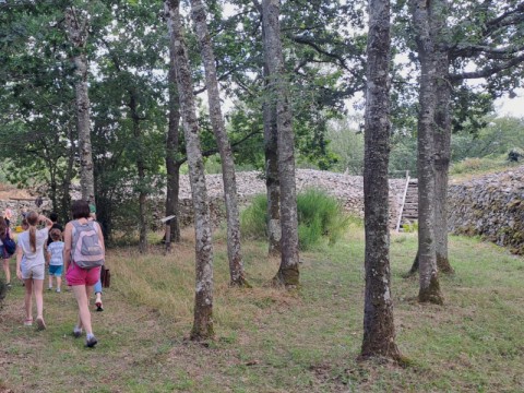 Visite guidée Camp celtique 800x600 | Michaël Herbulot