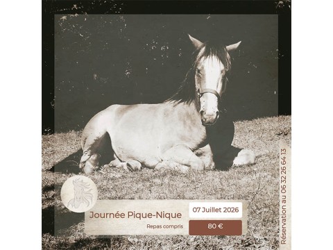 CHEVAL BAGOT | BAGOT'S RANCH