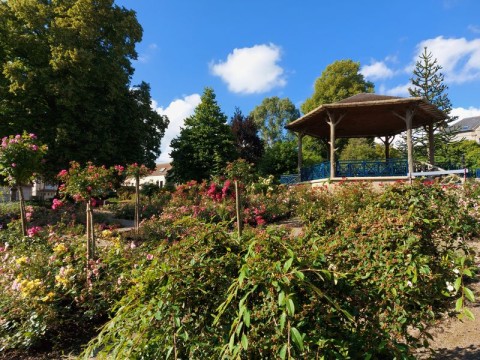 jardin public800 | MNT