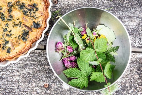 Atelier-plantes-AHC-BeaGillot--12- | Béa Gillot