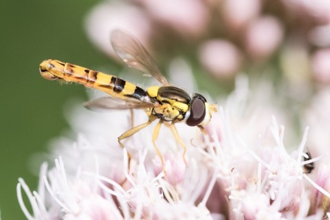 65b10796a23e1 (1) | Béa Gillot