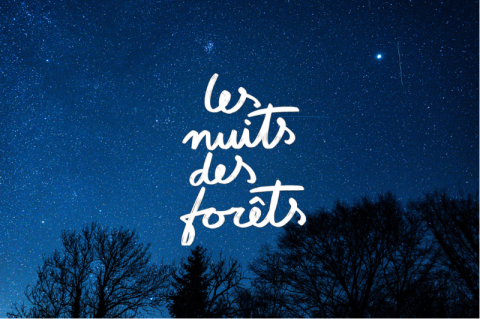 La Nuit des Forêt à Sap-en-Auge | Taisuke_Yoshida