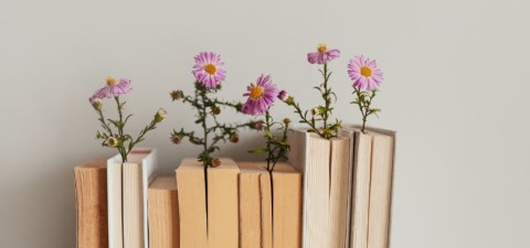 Lectures poésie | Médiathèque-ludothèque de Bellou-en-Houlme