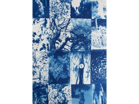 anne 800 | ANNE MONNEAU