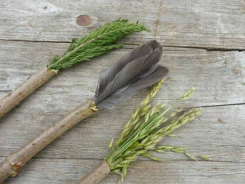 2026.06.13_Nature_peinture_credit_Bourrache_et_Coquelicot | Bourache et coquelicot 