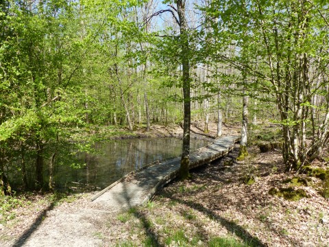 16_FB_30072026 | PNRNM