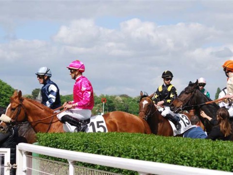 Courses hippiques - Haras national du Pin | ©Jean Chevret