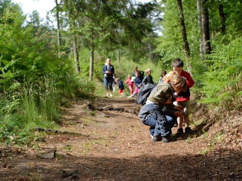 22_TPR_18082026 | PNRNM