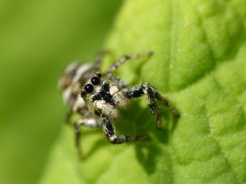 24_TPR_25082026 | PNRNM