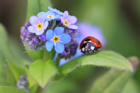 2026.09.25_Cloture_ABC_credit_Michel_JARDIN | Michel Jardin 
