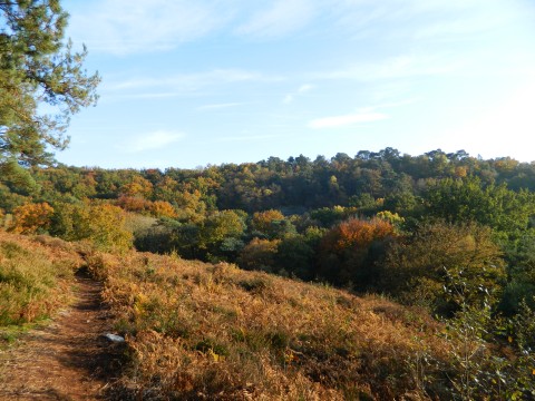 29_GV_29102026 | 1 - Parc naturel régional et Géoparc Normandie-Maine