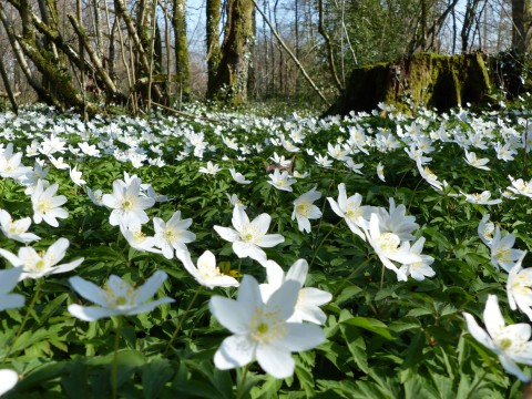 07_FB_07072026 | PNRNM