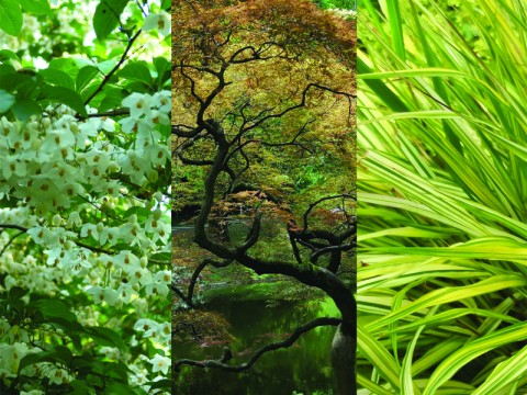 bagnoles-orne-fete-plantes-entre-ville-jardin-2026 | ©Entre ville et jardin