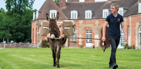 unknown_64c268baa57cd | Haras du Pin