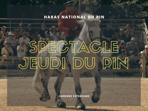 6b9f460c-1 | Haras du pin