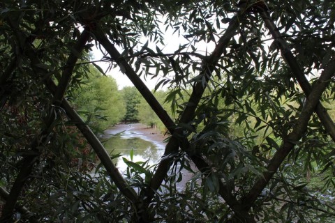 IMG_6561 | (c) OT Sées