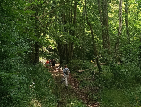 Balade ludique | Terres d'Argentan Interco