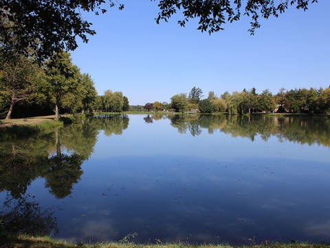 Étang_de_Saint_Maurice_lès_Charencey©F.Demeule | ©F.Demeule