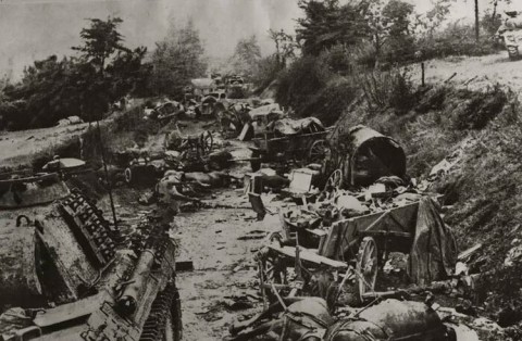 Visite guidée - La Poche de Falaise-Chambois | CD61