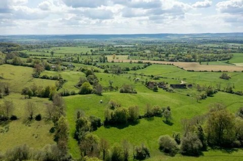 Visite guidée - Les Polonais | CD61