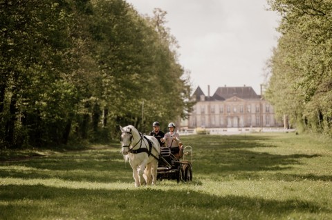 105_2025-06-04-11-33-13-6197 | Haras du Pin 