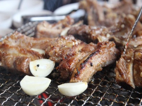 yuri9092-garlic-ribs-4643142_1920-compressed | ©OTHP