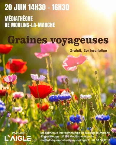 Médiathèque Moulins - 1 | graine voyageuse