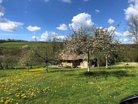 Forêt Jardin des Hayes à St Evroult de Montfort | Charlotte Nathalie JULIEN