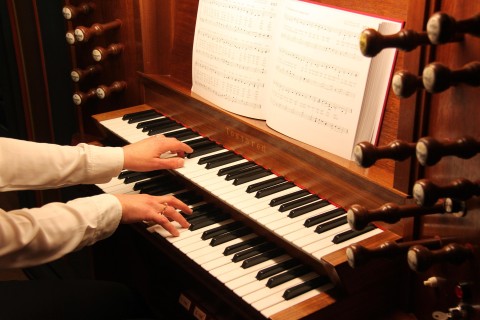 christinazetterberg-organ-7103541_1920 | christinazetterberg