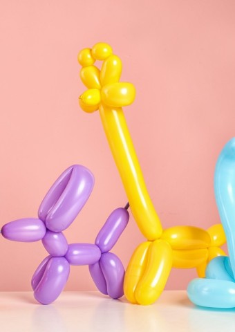9 et 10 mai_ateliers sculpture sur ballons visuel | canva