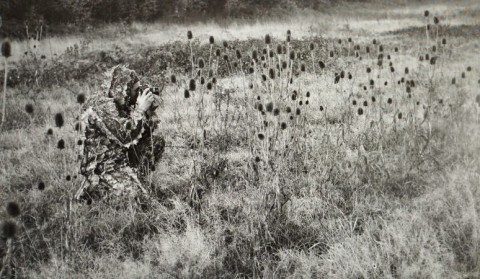 Exposition à Sap-en-Auge | Domaine Sauvage Le Costil