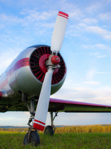 7-8 septembre, aéroclub visuels (600 x 800 mm) | canva
