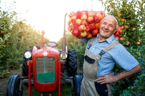 Comice agricole à Résenlieu | aleksandarlittlewolf_freepik